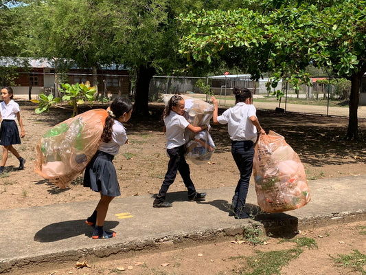 How Schools Can Achieve Zero Waste: A Step-by-Step Guide