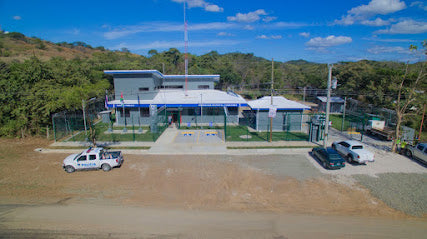 Plastic Neutral Certification for Businesses: Benefits and Process