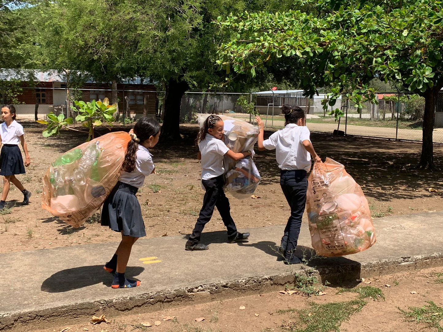 The Bag That Builds Program